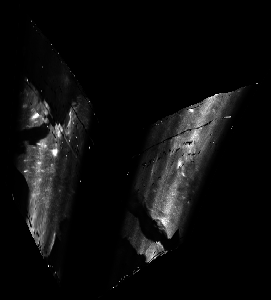 ascat_grayscale_proj_backward.png